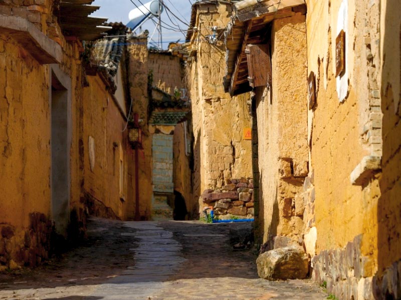 ANG News - Asia's New Generation - Projecten - Onderwijs en training